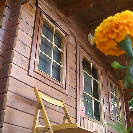 Onur Motel Faralya Bagian luar foto